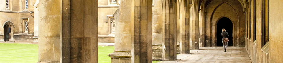 Read more about the article Ampla’s Secrets for Interview Coaching