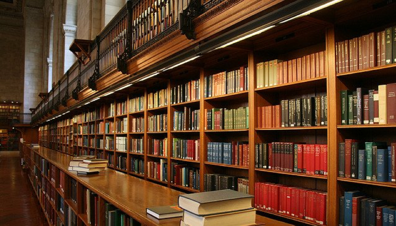 Read more about the article Why Should You Study Law?