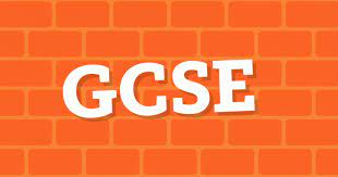 Read more about the article 1-Year GCSE Course